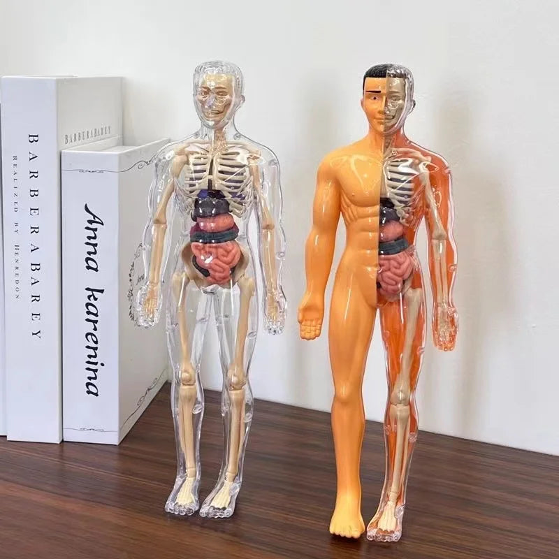 Children's Scieces human