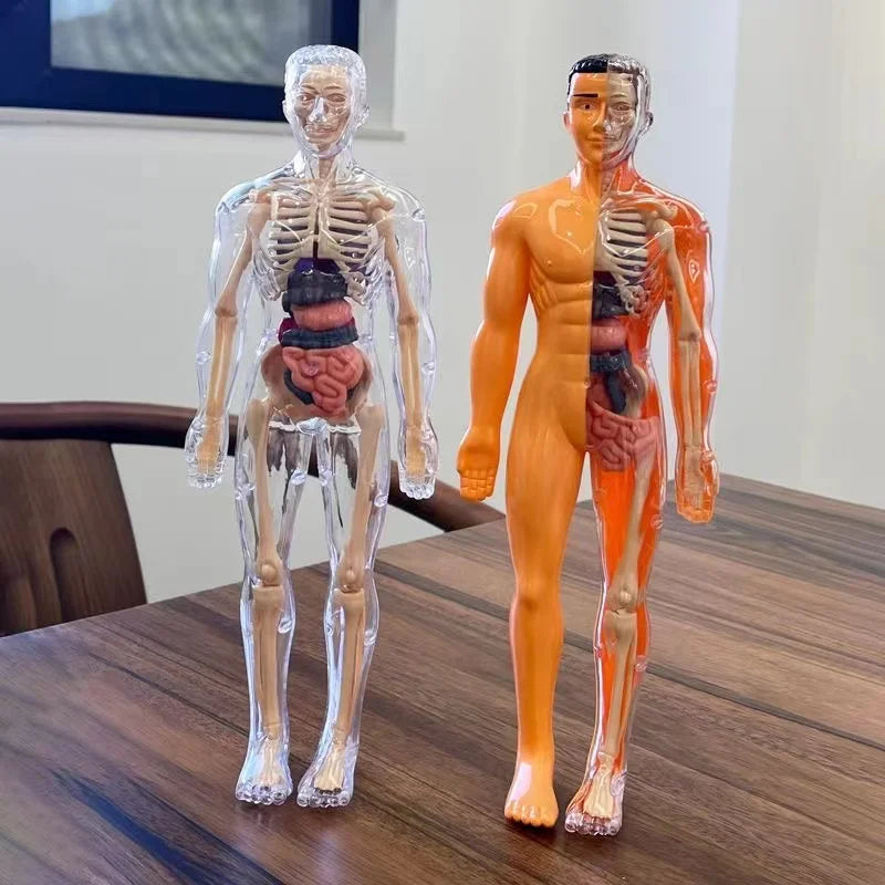 Children's Scieces human