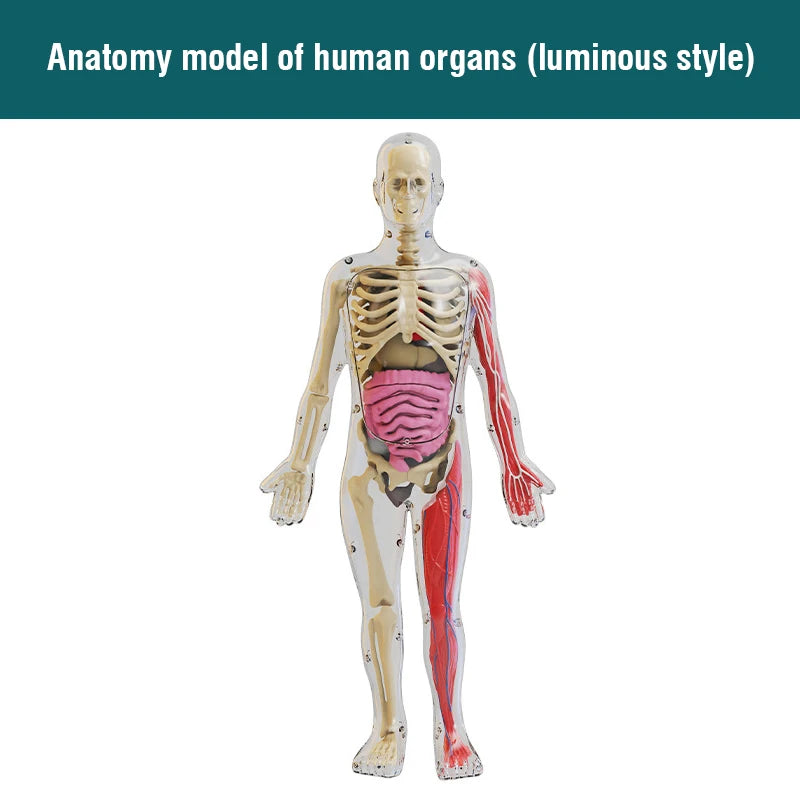 Children's Scieces human