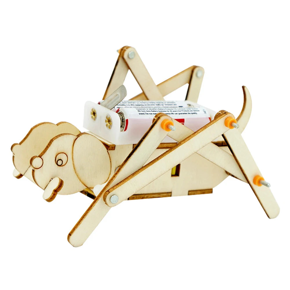 Scientific Experiment Kit