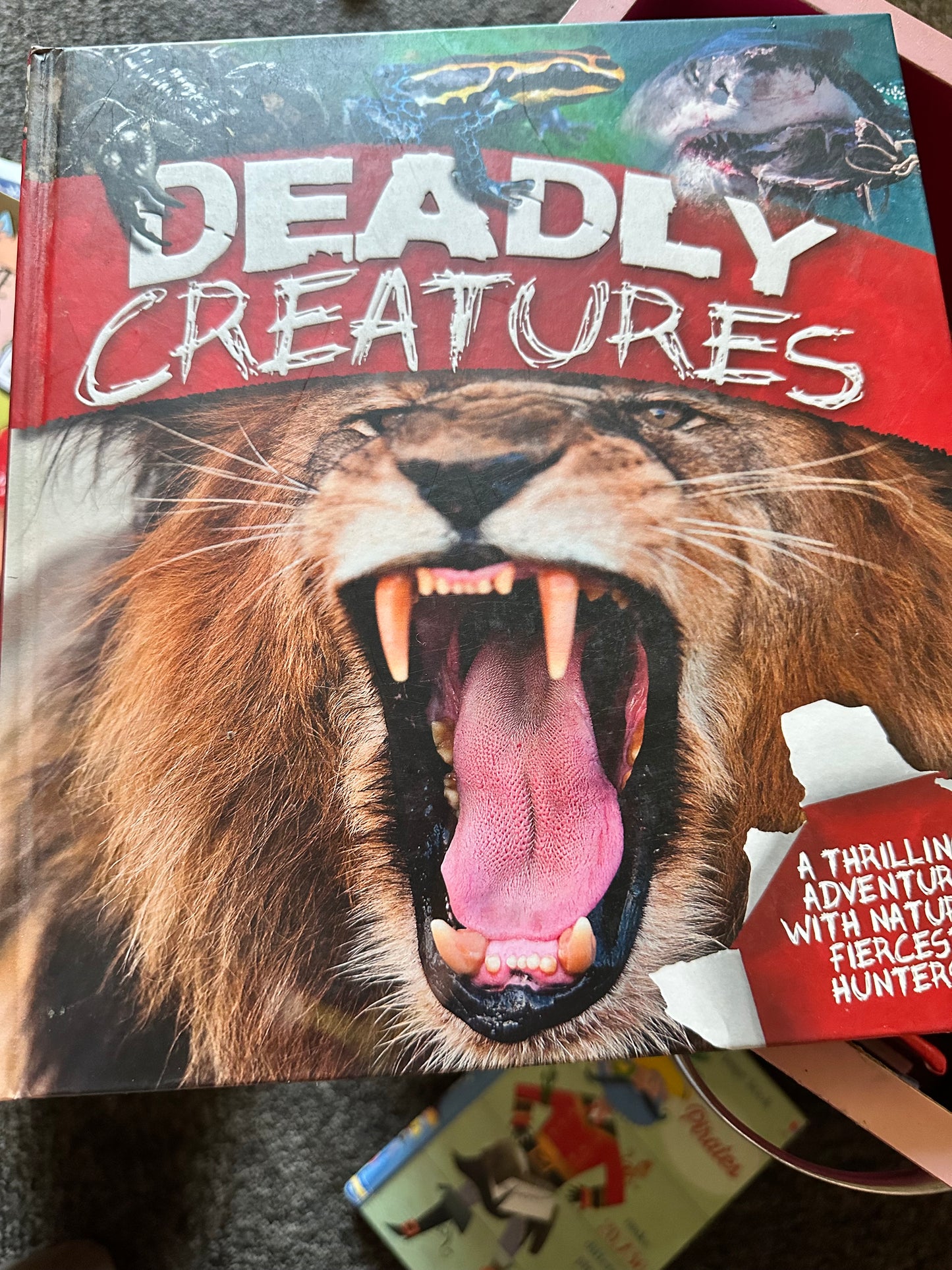 Children’s books new
