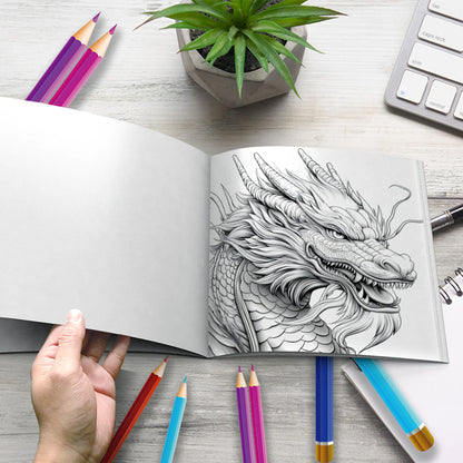 Colouring Book Adult Picture Book O