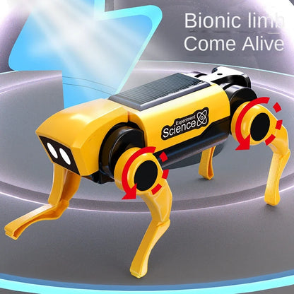 Science Teaching Assembling Set Power
