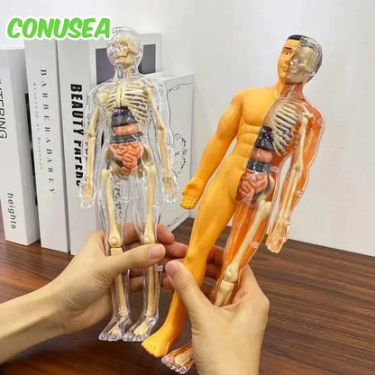 Children's Scieces human