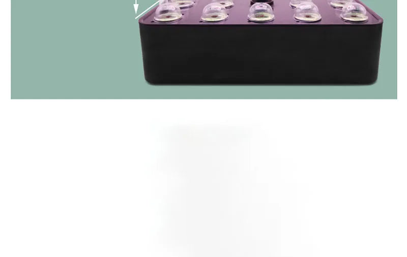 Planter Hydroponic Growing Vegetable