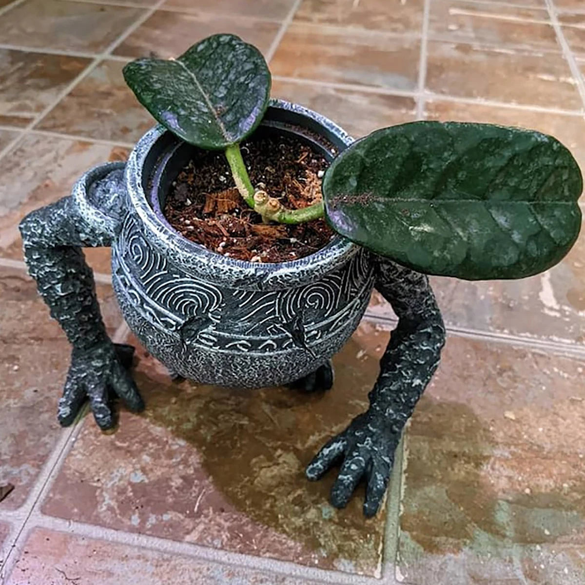 Crazy planter