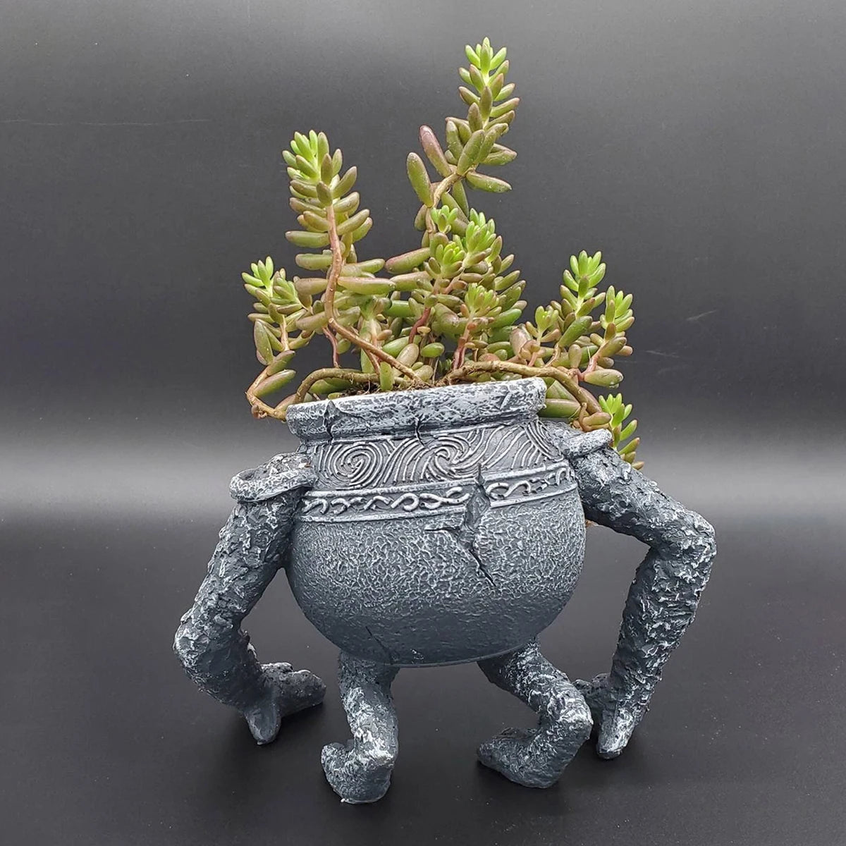 Crazy planter