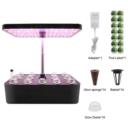 Planter Hydroponic Growing Vegetable